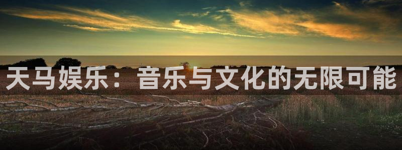 蓝图娱乐官网入口：天马娱乐：音乐与文化的无限可能