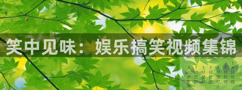 蓝图娱乐官网入口：笑中见味：娱乐搞笑视频集锦