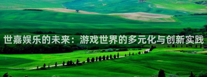 蓝图娱乐平台主管：世嘉娱乐的未来：游戏世界的多元化与创新实践