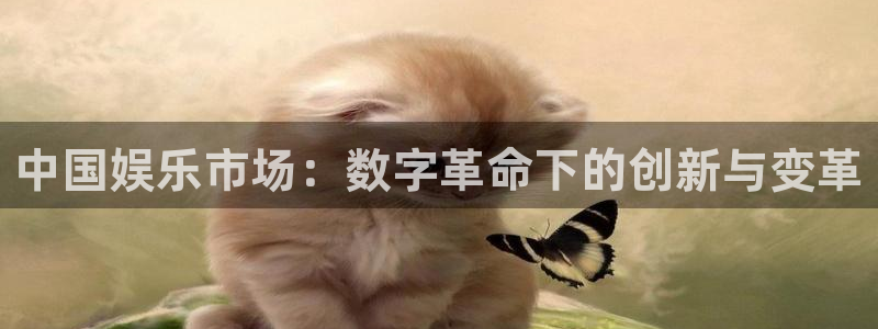 蓝图娱乐：中国娱乐市场：数字革命下的创新与变革