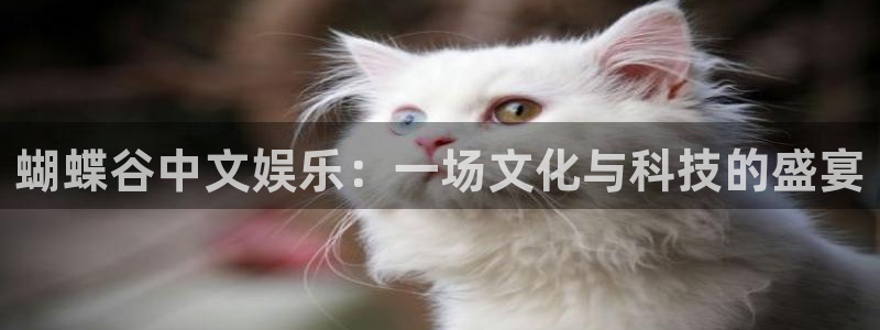 蓝图娱乐平台主管：蝴蝶谷中文娱乐：一场文化与科技的盛宴