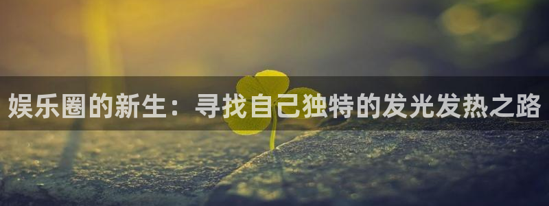 蓝图娱乐平台主管：娱乐圈的新生：寻找自己独特的发光发热之路