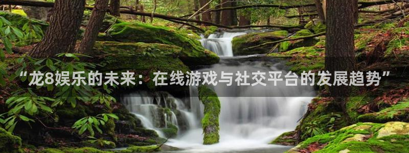 蓝图娱乐平台主管：“龙8娱乐的未来：在线游戏与社交平台的发展趋势”