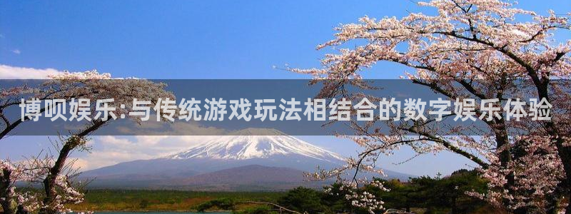 蓝图娱乐官网入口：博呗娱乐:与传统游戏玩法相结合的数字娱乐体验