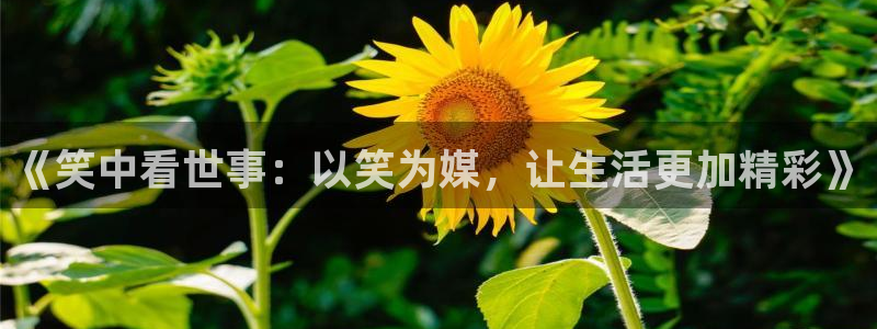 upload/20250701114914.jpg